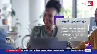   دور مصر في  النيباد 