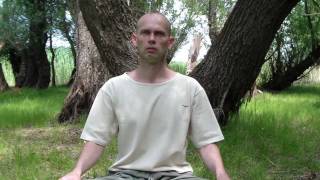 Медитация в интегральной йоге Шри Ауробиндо - 2