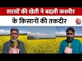 Jammu-Kashmir: सरसों को खेती को सरकार का प्रोत्साहन, किसानों की बढ़ी आमदनी | Pulwama | Aaj Tak