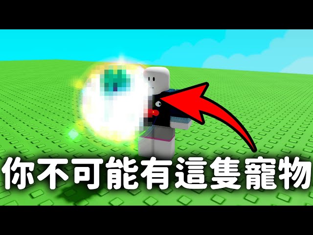 【Grow a Garden】我氪了兩萬R幣抽史上最難獲得的限定寵物(即將絕版)❗免費九尾狐跟10000R❗【培養花園】
