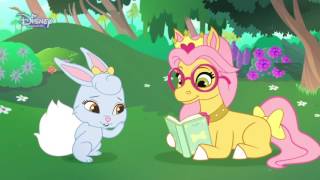 Pelkov - Zbieranie suienok