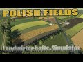 Polish fields v1.0.0.0