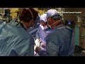 First ever transplant of a pig kidney into a human is successful | REUTERS  - 02:37 min - News - Video