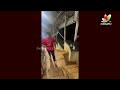 Hero Vishwak Sen Visits Tirumala | Das Ka Dhamki | IndiaGlitz Telugu  - 01:23 min - News - Video
