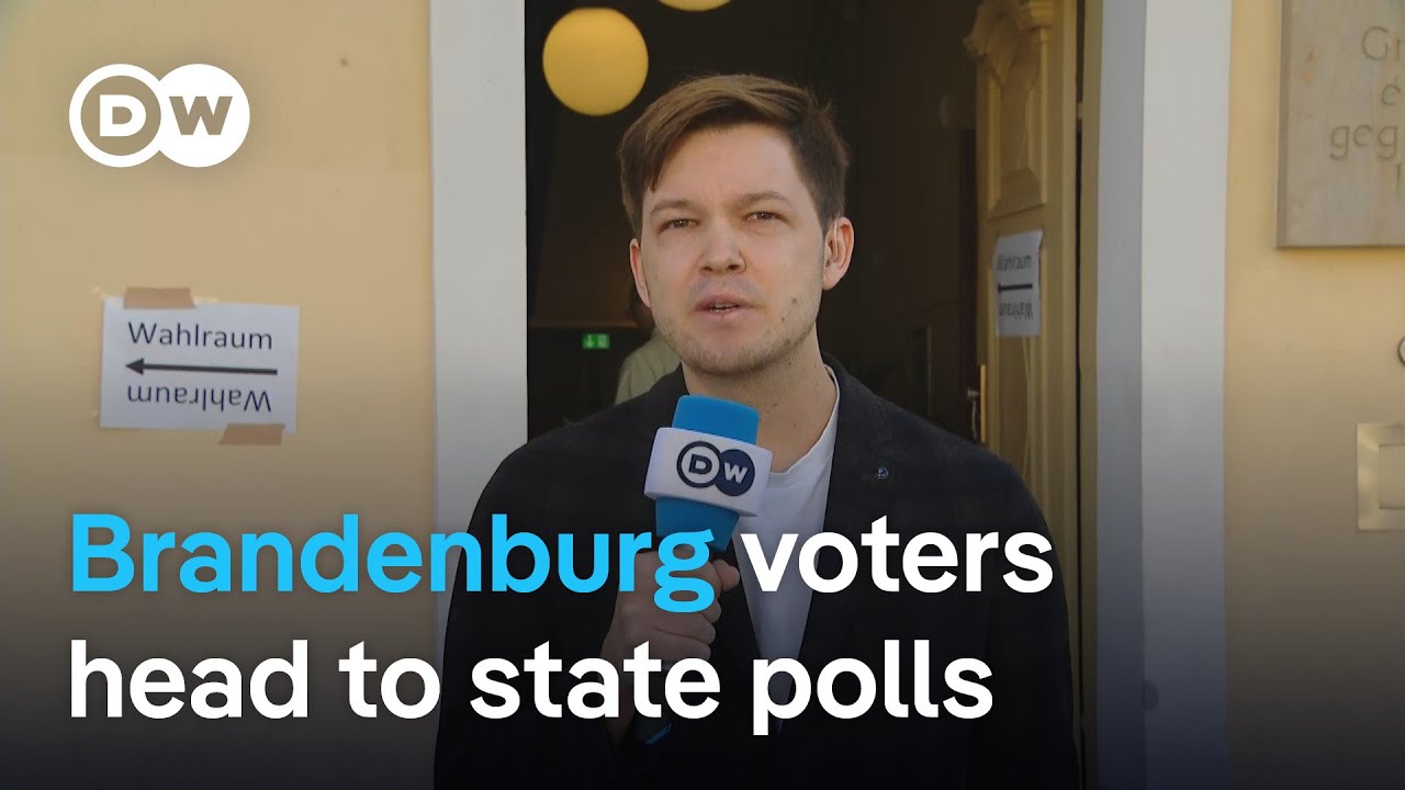 Social Democrats and far-right AfD nack-and-neck in Brandenburg polls | DW News
