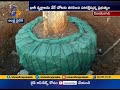 Tree Story  : Tree Translocation in AP