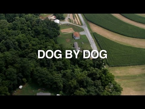 Dog by Dog'