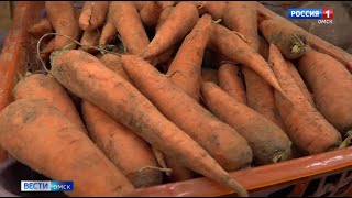 Цена овощей в Омске за полгода выросла в 4 раза