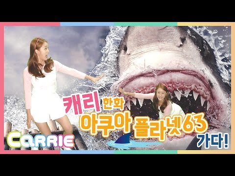 캐리 한화 아쿠아 플라넷 63에 가다! 아쿠아리움 구경과 스쿠버 다이빙 체험 CarrieAndToys