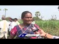 Farmers Speaks About Crop Damage Due To Rains | V6 News  - 03:56 min - News - Video