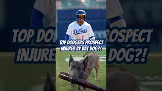 Top Dodgers Prospect Injured by the Bat Dog?!? 🦮 #milb #dodgers