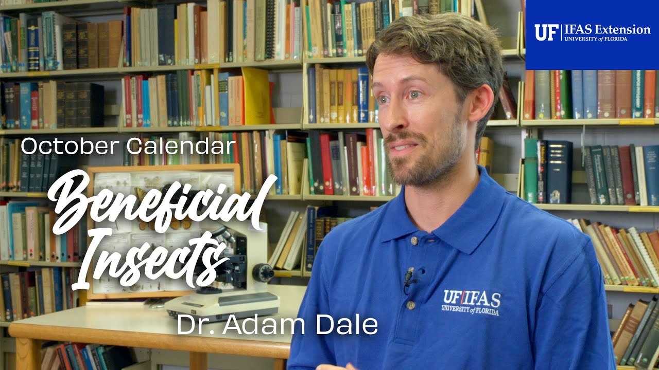Play Video about Extension stories: What are Beneficial Insects?