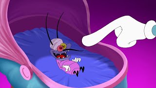 Oggy a vbi - Baby Joey