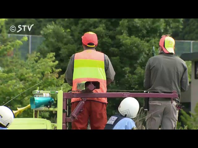 北海道送報員慘遭咬死！ 棕熊DNA結果出爐「4年殺2人」
