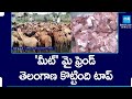 Telangana In Top Place In Meat Producing & Consuming | Telangana Mutton, Hyderabadi Dum Biryani