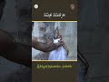 పవిత్ర సమర్పణ || శ్రీ సౌమ్యనాధ స్వామి ఆలయం - నందలూరు || SVBC TTD  - 01:00 min - News - Video
