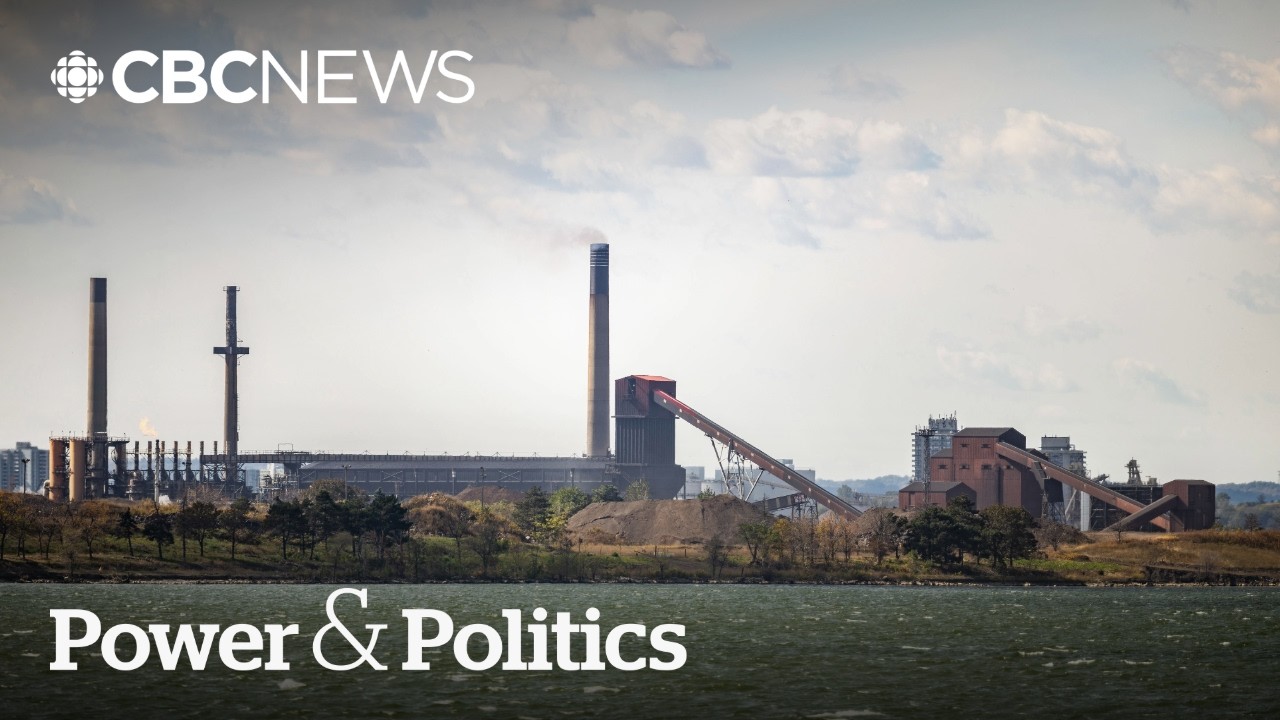 'Public ownership' is the solution to Ottawa's Stelco problem: NDP leader | Power & Politics