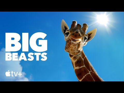Big Beasts'