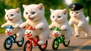 Mama Cat Trims Fur on the Farm and Makes Tiger Hat For Kittens At Home🐾🎩🐯