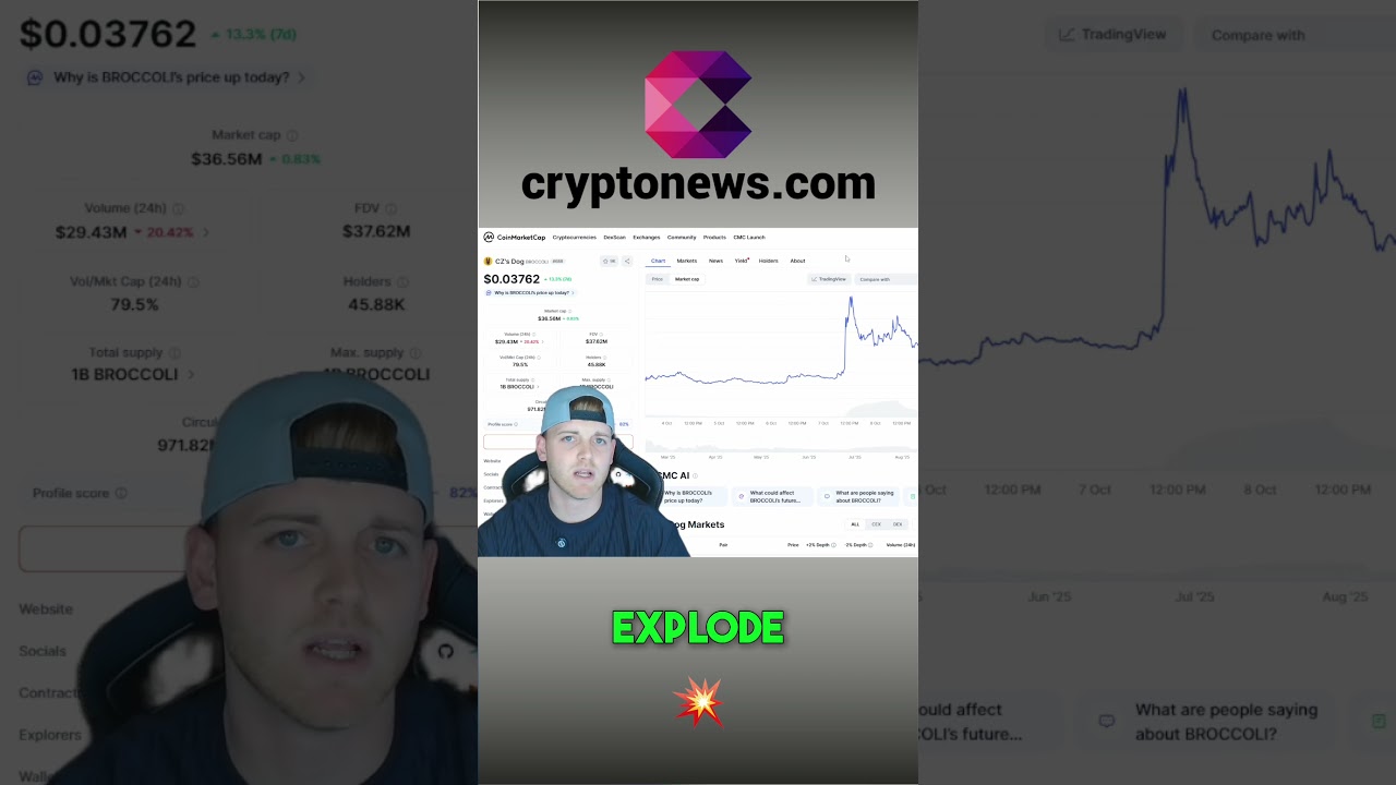 Broccoli Coin: The Next BNB Chain Meme Coin? shorts