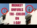 Watch: Indian national flag unfurled by monkey at a school