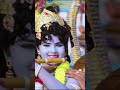 Govindhudey Koka|Pandurangadu Video Songs  Kalatapasvi K Viswanath- M.M.Keeravani|| Bala Krishna