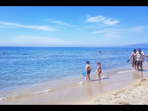 宿泊施設による動画