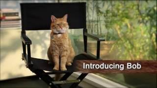 A Street Cat Named Bob - Introdu