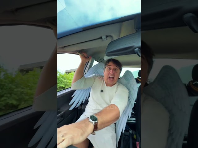 O ANJO SE DEU MAL