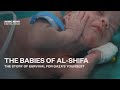 The Babies of Al-Shifa: The story of survival for Gazas youngest