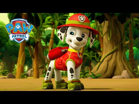 teniatka z dungle!  - Paw Patrol 