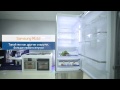 Обзор холодильников Samsung RL63