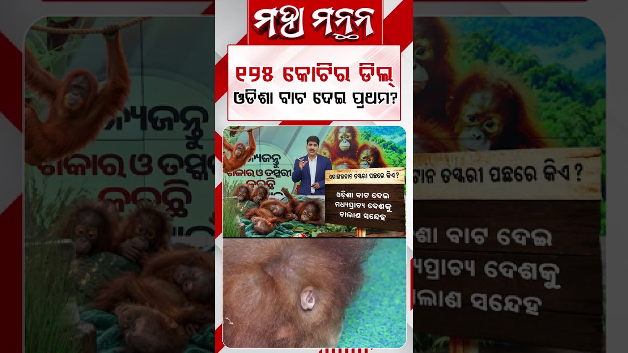 ୧୨୫ କୋଟିର ଡିଲ୍‌ ଓଡ଼ିଶା ବାଟ ଦେଇ ପ୍ରଥମ ? | Maha Manthan | Argus News