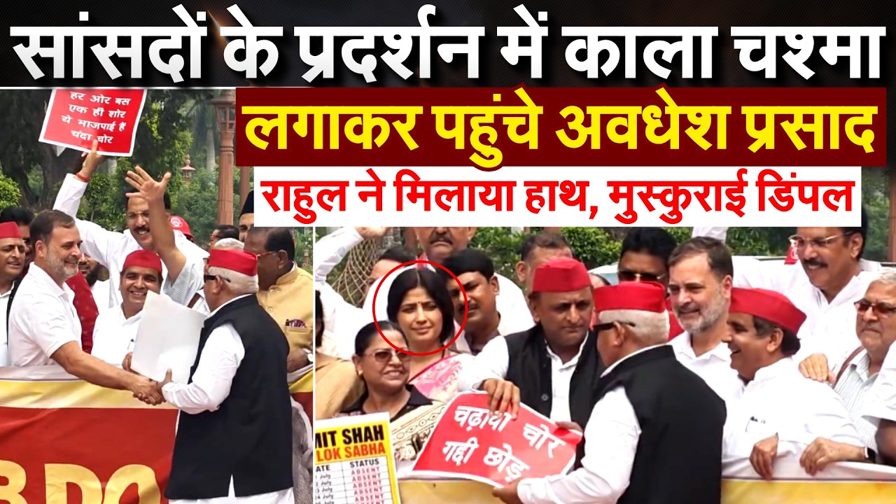 INDIA ब्लॉक के सांसदों का प्रदर्शन... RAHUL ने Awadhesh से मिलाया हाथ...Dimple Yadav मुस्कुराने लगीं