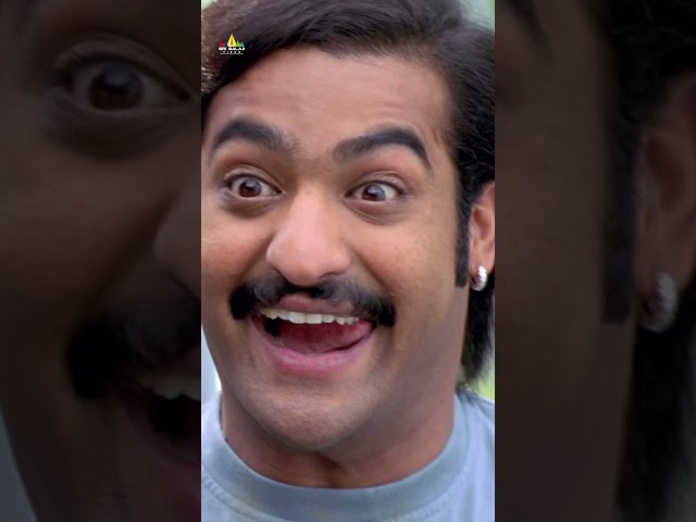 NTR & Ali's Hilarious Comedy with Mamta Mohandas | #yamadonga | #shorts | #ytshorts | #telugushorts