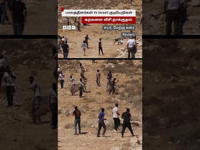 ஒரு கையில் கம்பு... மறுகையில் கல்... தாக்கிக்கொண்ட Palestinians & Israeli Settlers