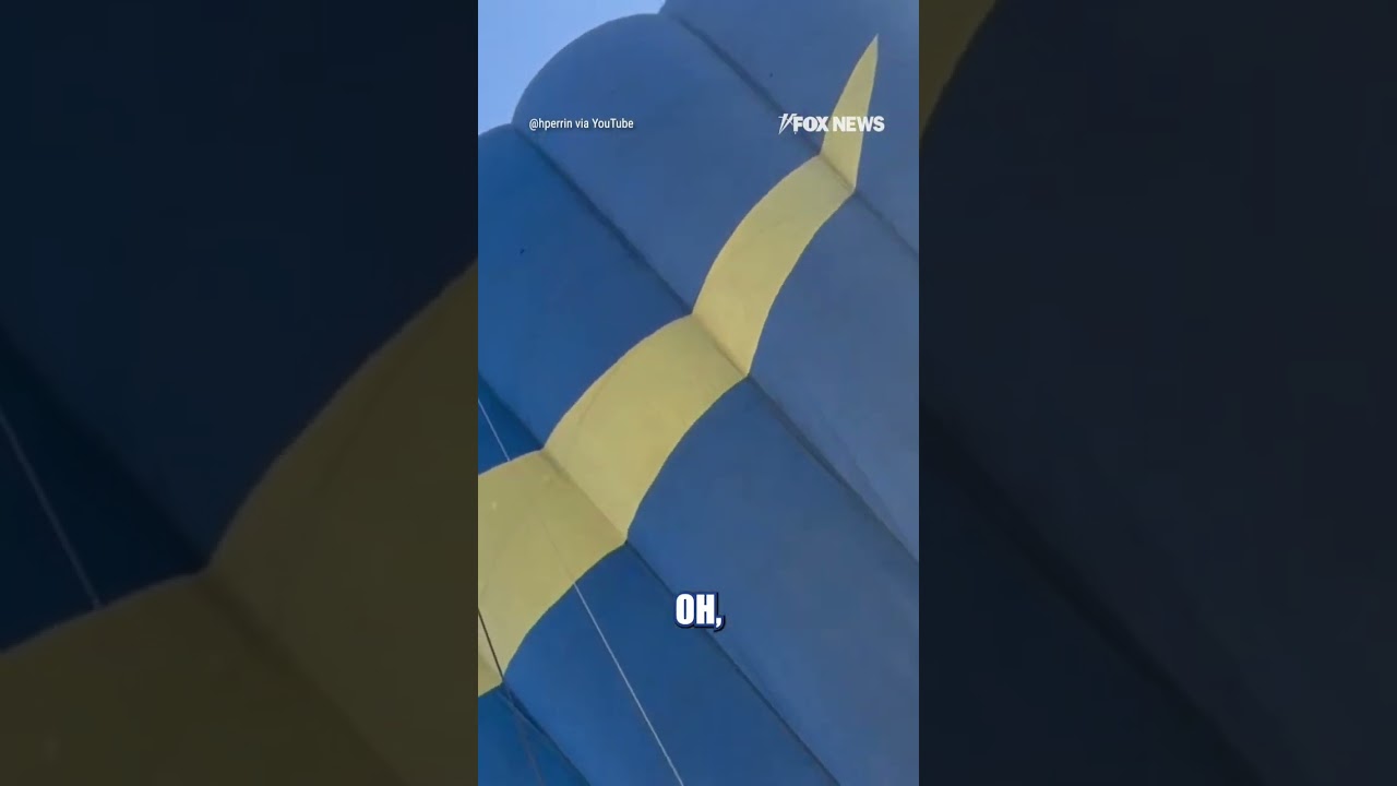 Hot air balloon makes EMERGENCY backyard landing #shorts #us #news #foxnews #hotairballoon