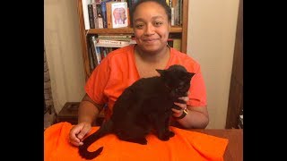 Ask.Vet – Massaging Your Cat For Good Health