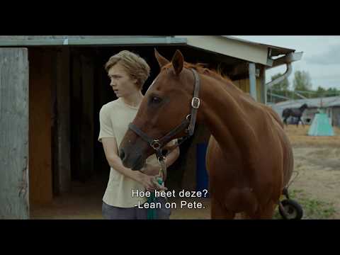 Lean on Pete'