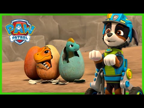 PAW Patrol Dino Rescue save the Lost Dinosaur Eggs - PAW Patrol - Cartoons for Kids