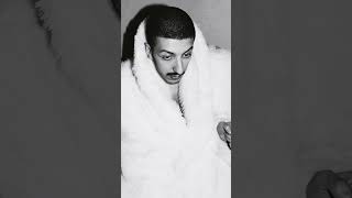 Премьера! Бира — Рано научился летать