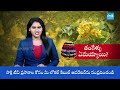 Special Story on Telangana Flower Tangedu | Bathukamma 2025 | @SakshiTV  - 10:19 min - News - Video