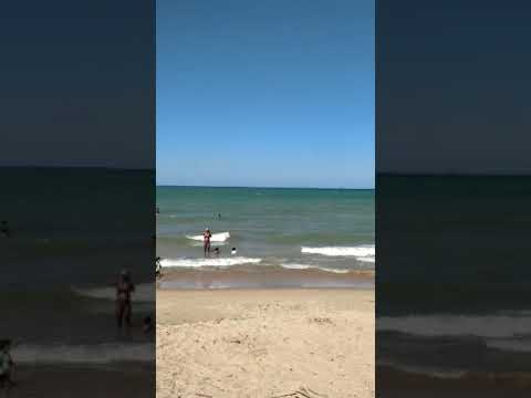 Vídeo da propriedade