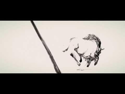 Traces'