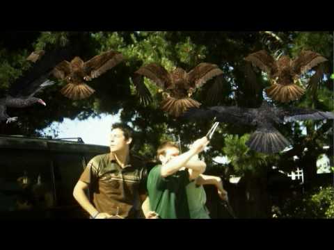 Birdemic: Shock and Terror'