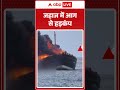 जहाज में आग से हड़कंप | Plane Accident | Fire Alert | ABP SHORTS  - 00:38 min - News - Video