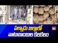 పల్నాడు జిల్లాలో నాటుబాంబుల కలకలం | Palnadu district Latest News | 99tv