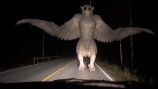 Ученые обнаружили настоящих чудовищ за самыми страшными легендами Аппалачей