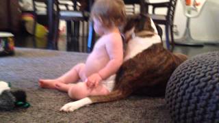 狗狗溫柔用舌頭幫小女嬰舔背「洗背秀」