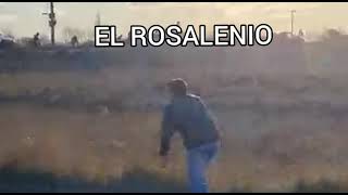 Video: Persecución, tiroteo, choque y delincuente muerto